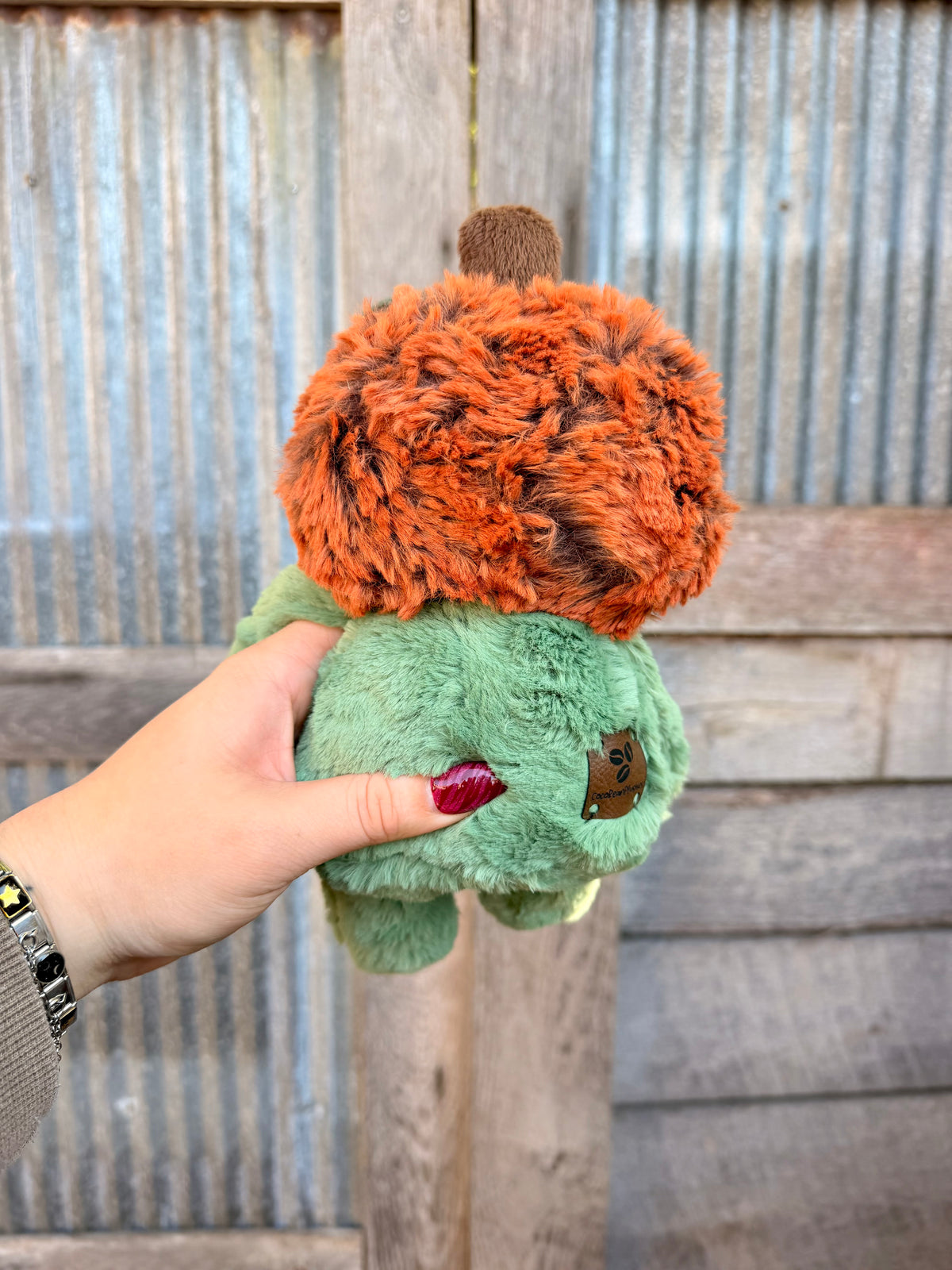 Edward the Pumpkin