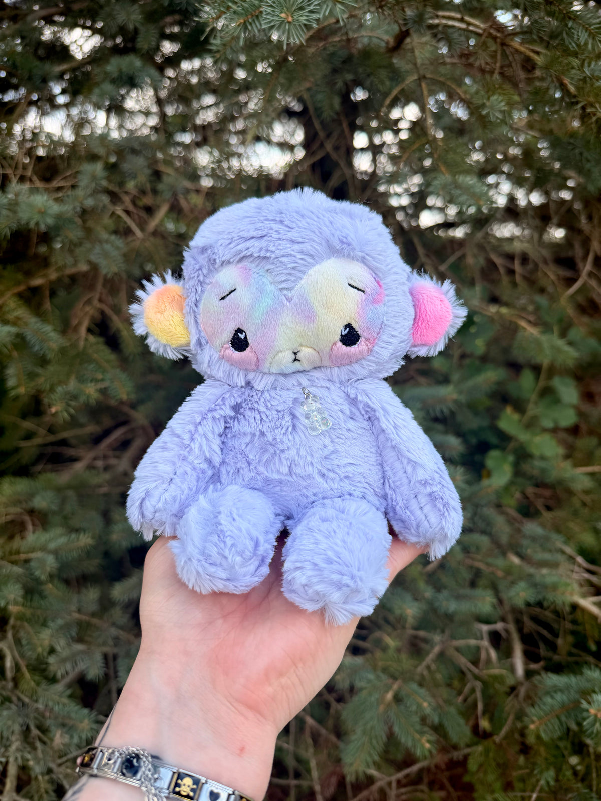 Cassie the Monkey