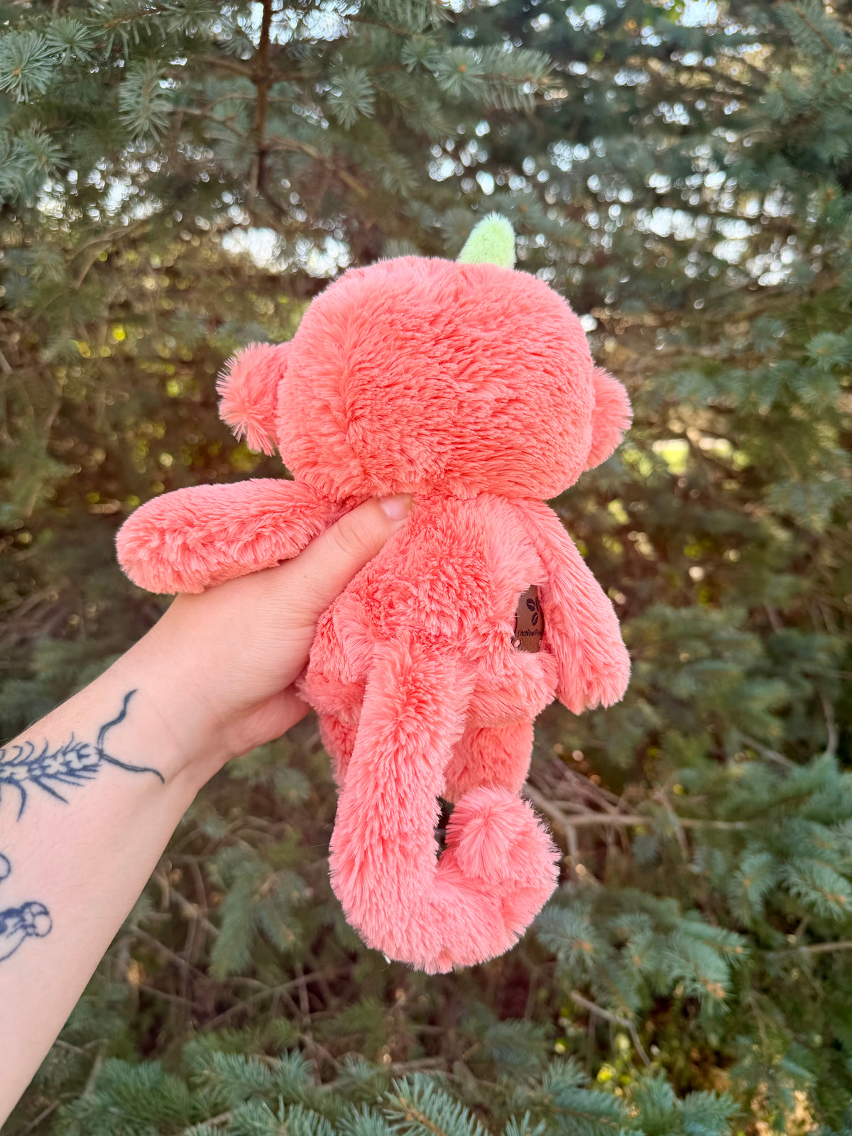 Anto the Monkey