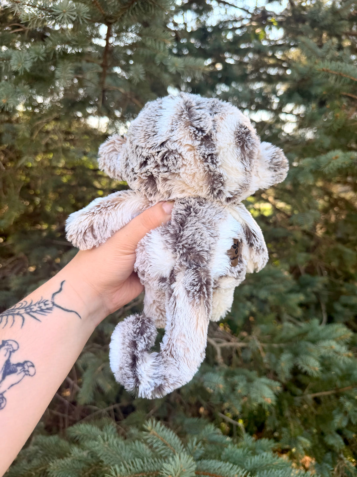 Kimby the Monkey