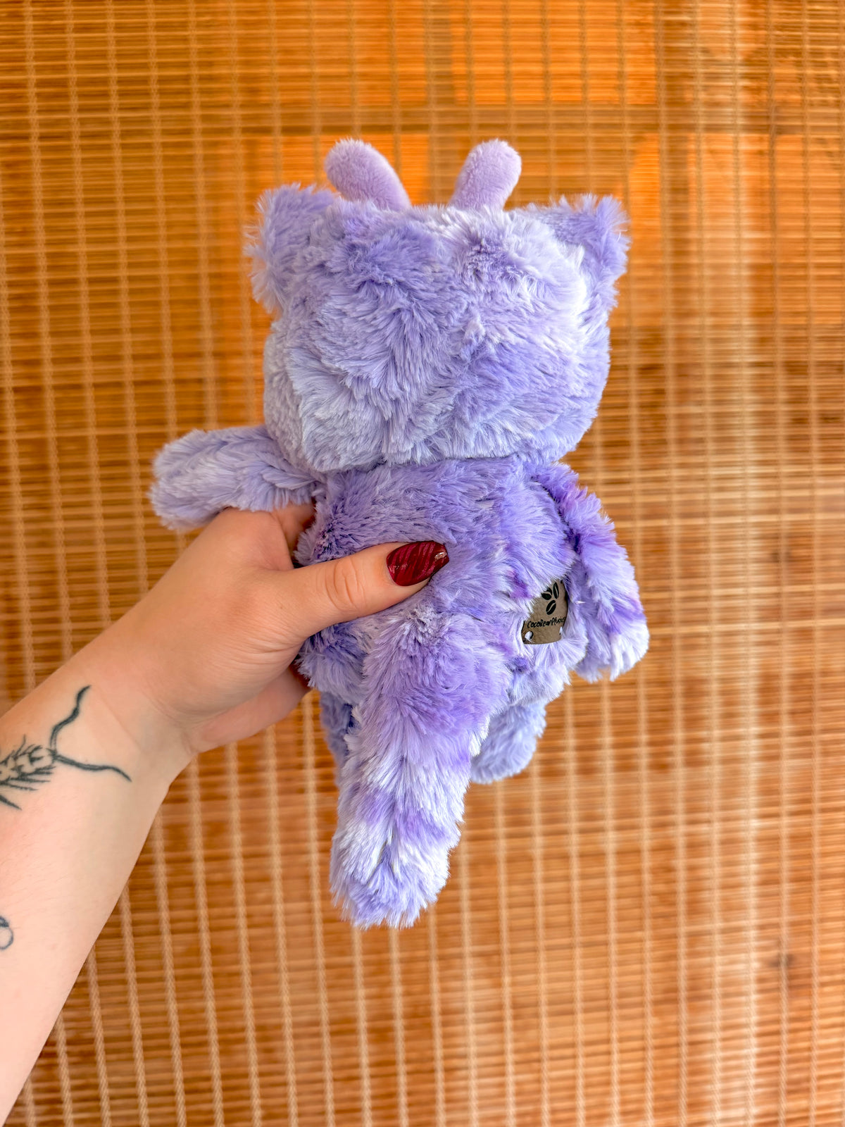 Lilith the Alien Kitty