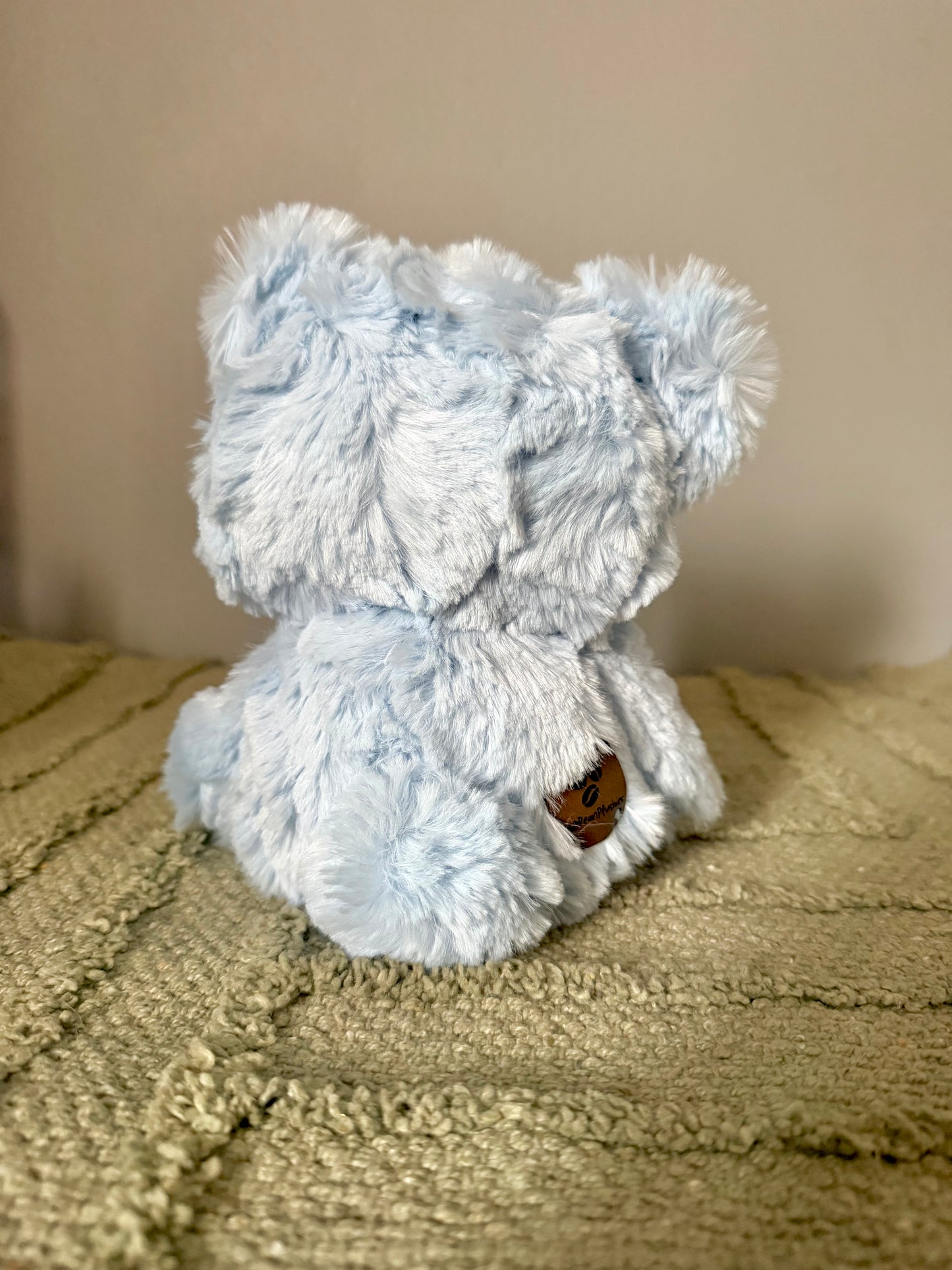 Cody the Sleepy Bear