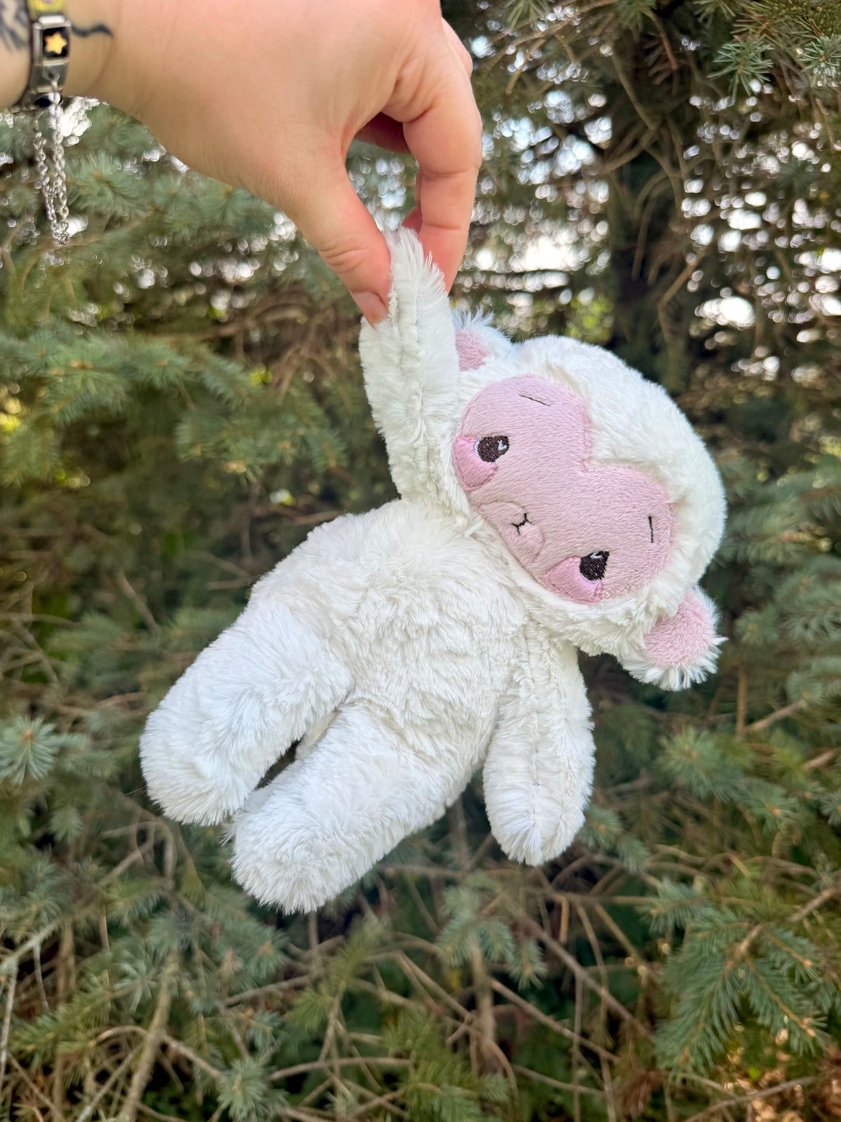 Leah the Monkey