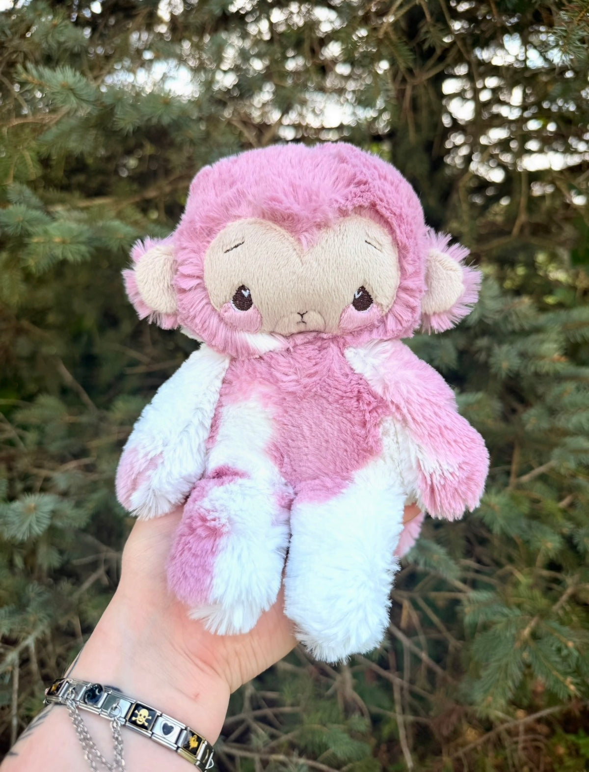 Alyssa the Monkey