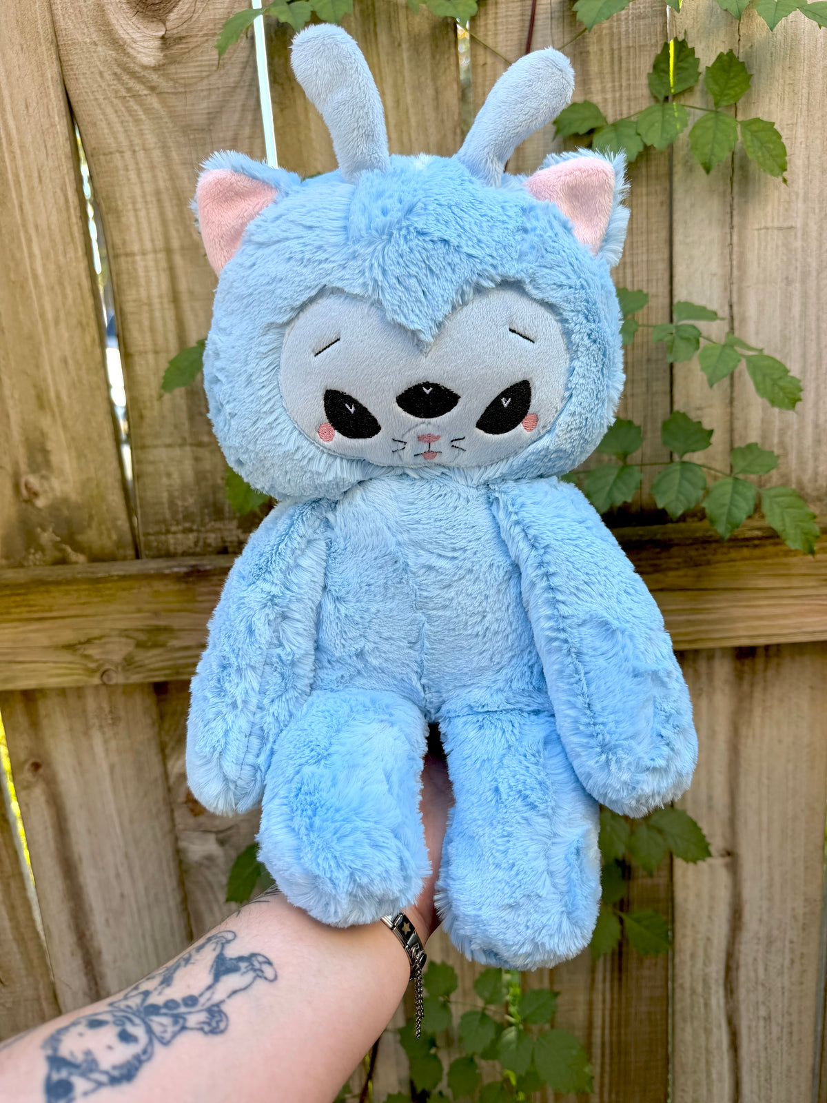 Orion the Alien Kitty